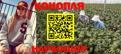 каннабис Гусиноозёрск
