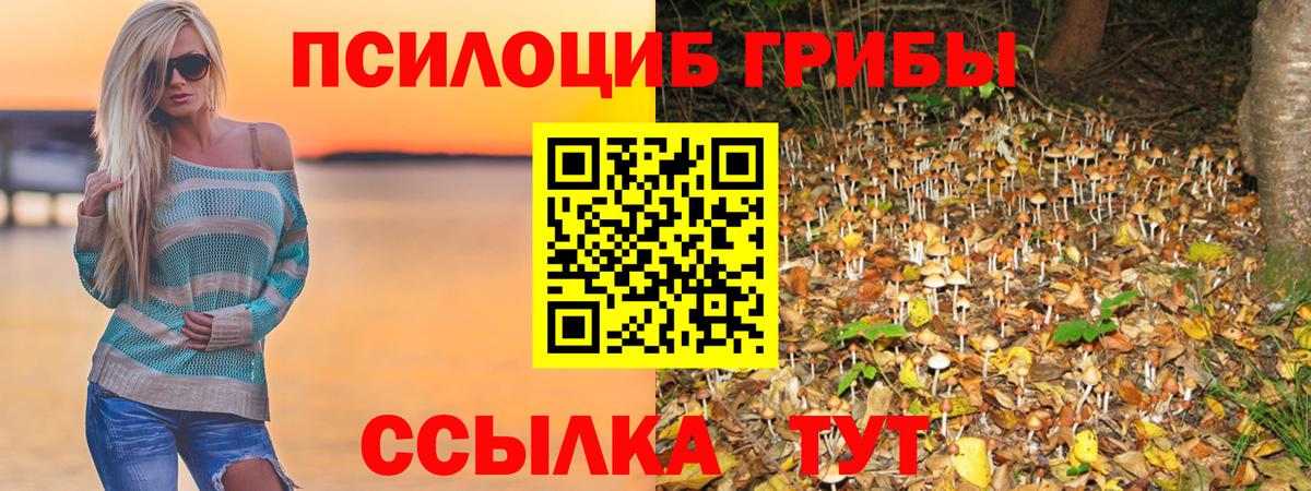 Дюртюли  Галлюциногенные грибы Magic Shrooms  Вход с VPN 